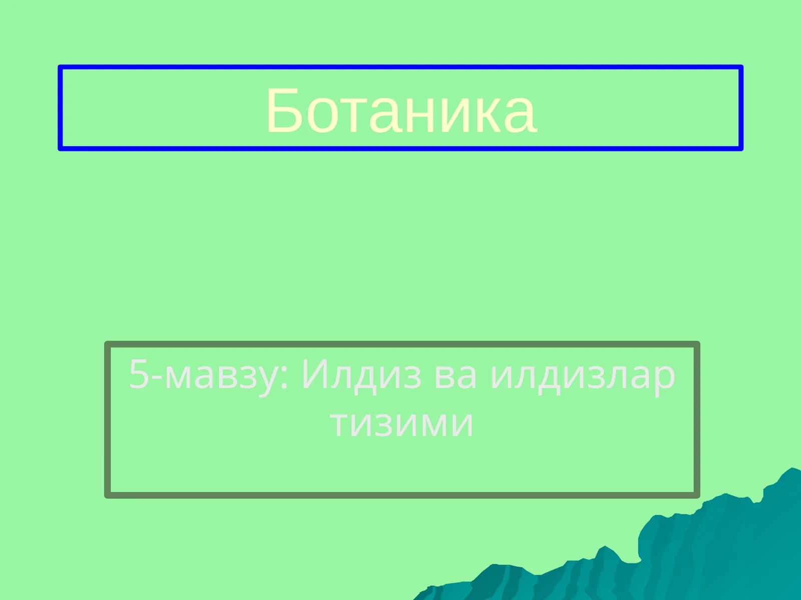 Илдиз ва илдизлар тизими 1
