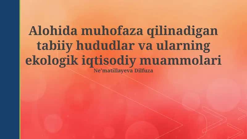 Maxsus muhofaza qilinadigan tabiiy hududlar va ularning ekologik iqtisodiy muammolari 1