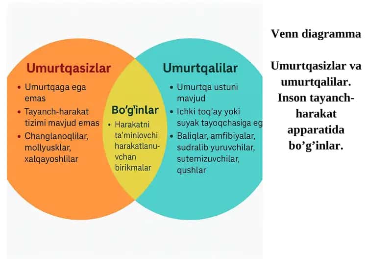 Venn diagramma 1
