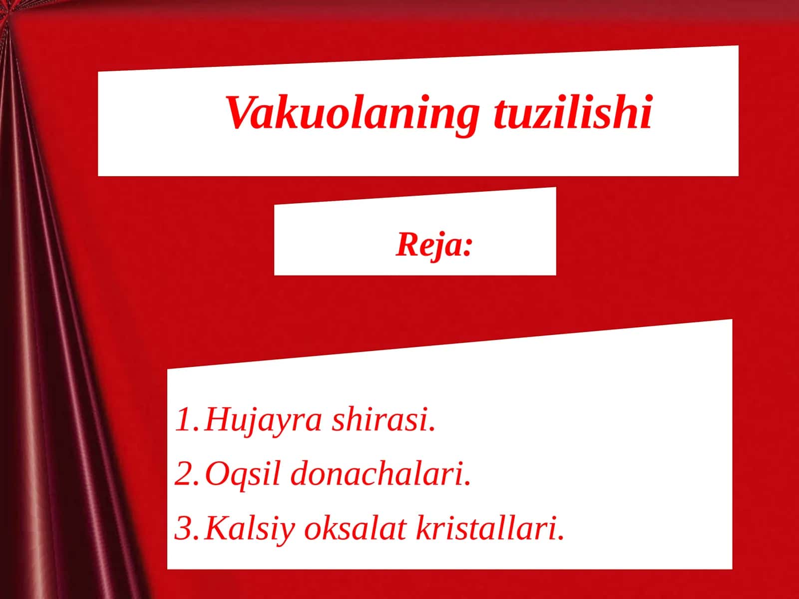 Vakuolaning tuzilishi 1
