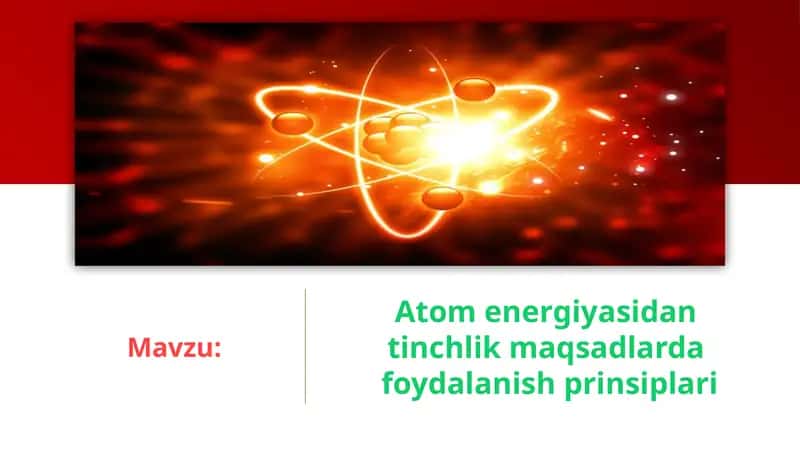 Atom energiyasidan tinchlik maqsadlarda foydalanish prinsplari 1