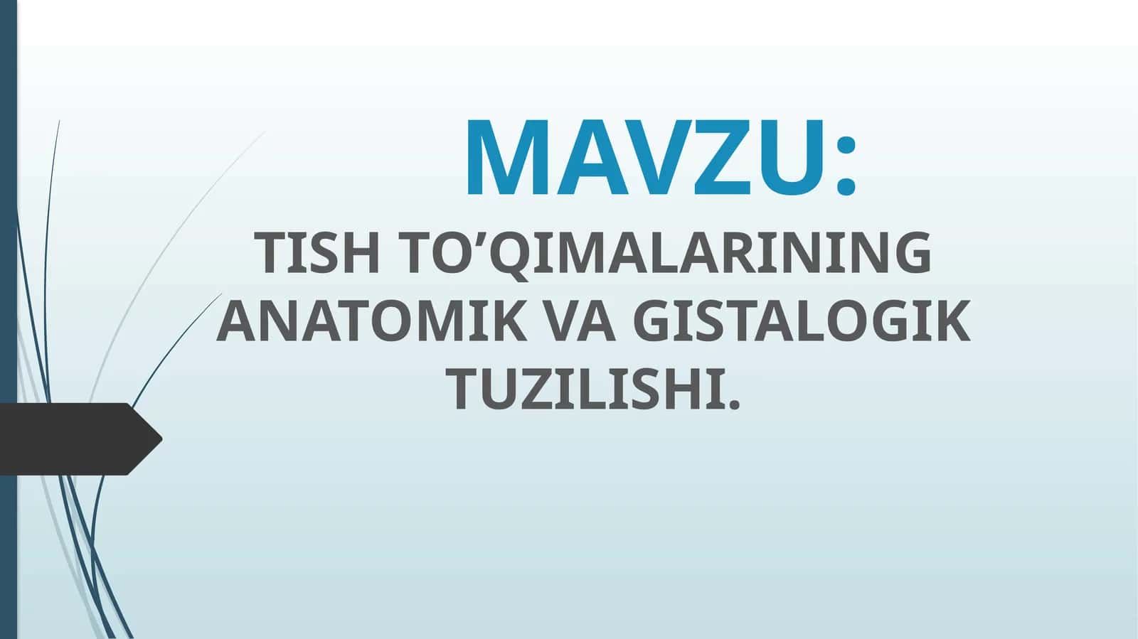 TISHTO’QIMALARINING ANATOMIK VA GISTALOGIK TUZILISHI 1