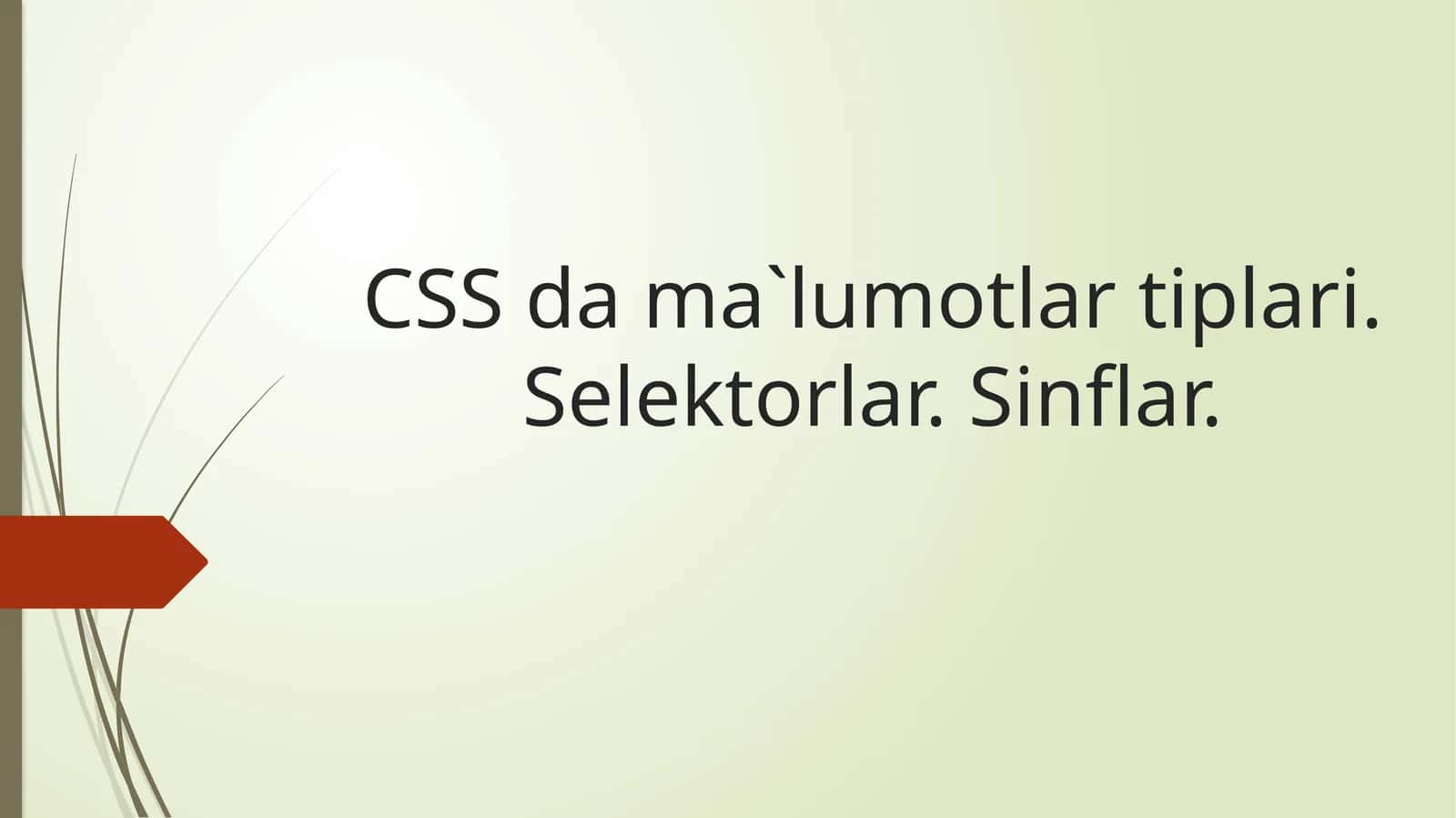 CSS da ma`lumotlar tiplari 1