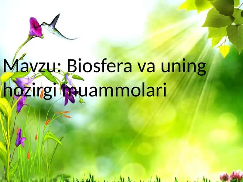 Biosfera va uning hozirgi muammolari 1