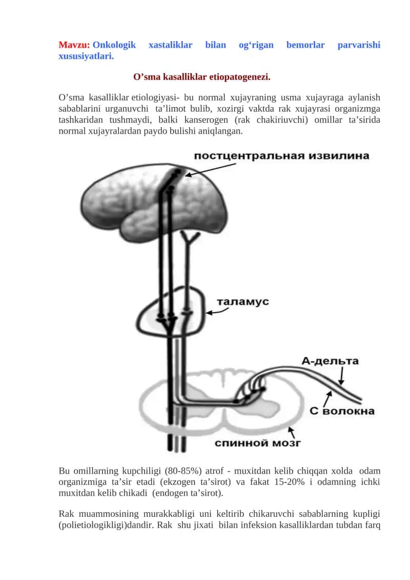 Onkologik xastaliklar bilan og‘rigan bemorlar parvarishi xususiyatlari 1