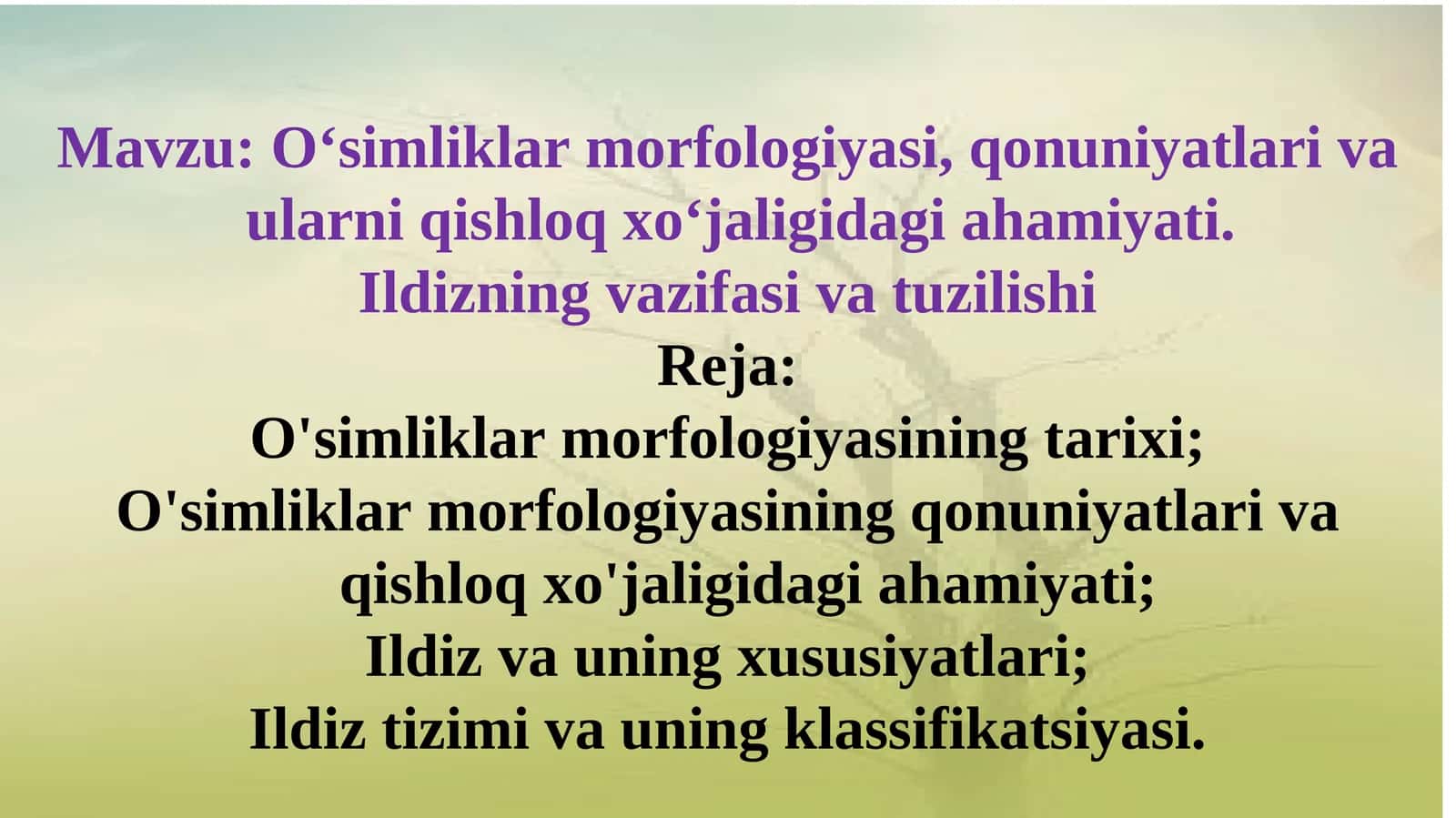 O‘simliklar morfologiyasi, qonuniyatlari va ularni qishloq xo‘jaligidagi ahamiyati 1