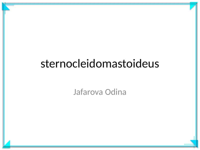 sternocleidomastoideus 1
