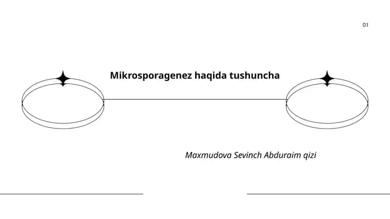 Mikrosporagenez haqida tushuncha 1