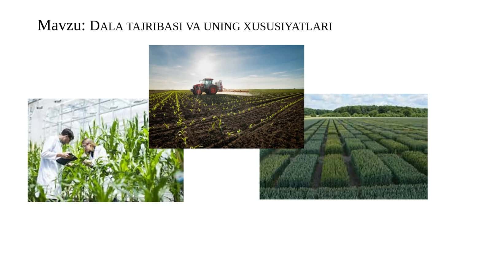 Dala tajribasi va uning xususiyatlari 1