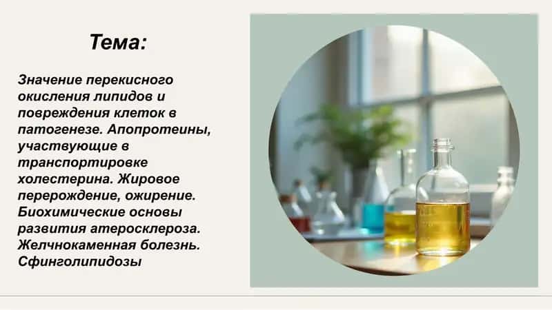 Значение перекисного окисления липидов и повреждения клеток в патогенезе 1