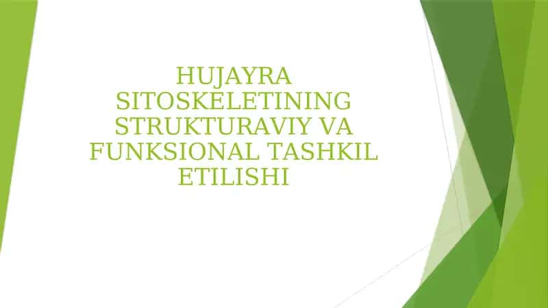 HUJAYRA SITOSKELETINING STRUKTURAVIY VA FUNKSIONAL TASHKIL ETILISHI 1