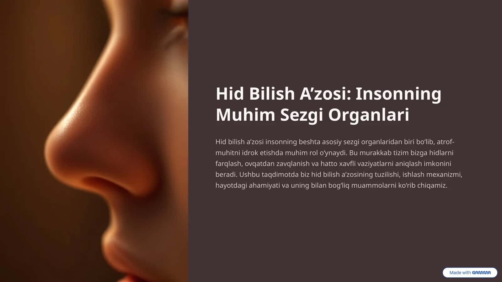Hid Bilish A’zosi: Insonning Muhim Sezgi Organlari 1