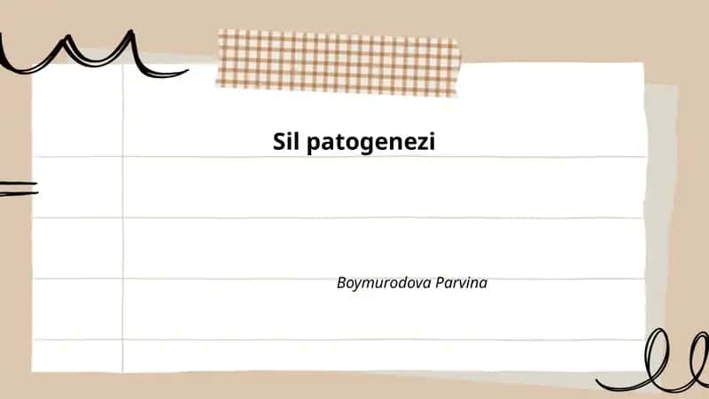 Sil patogenezi 1