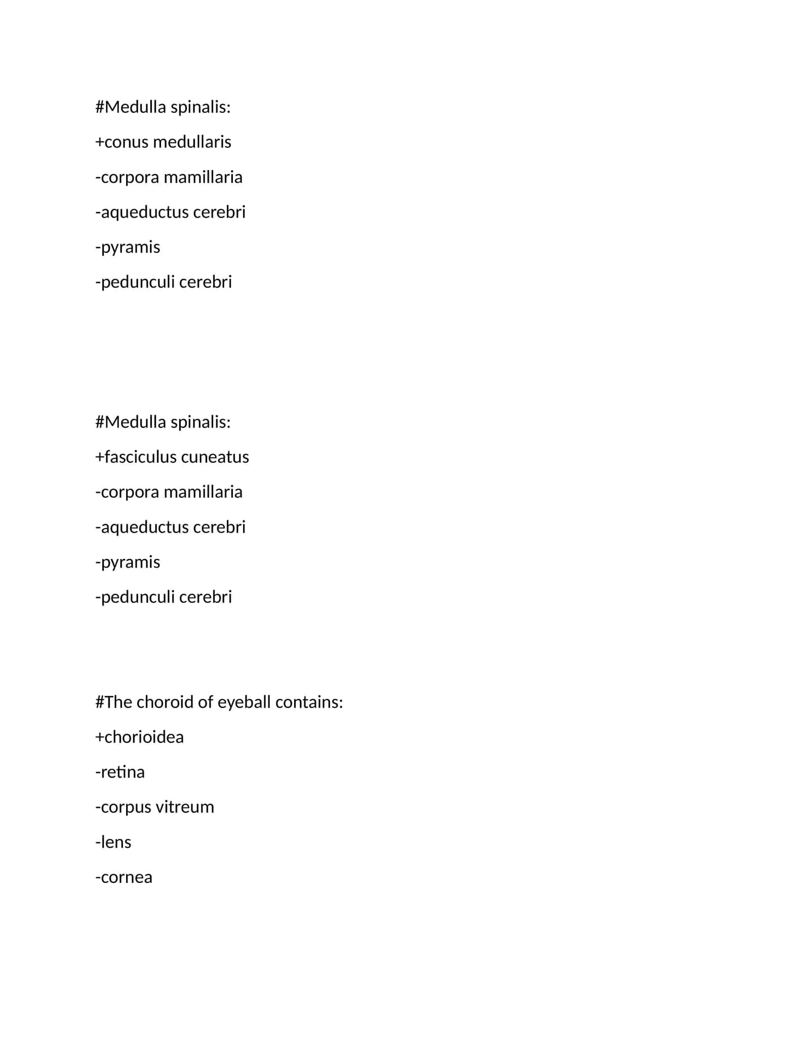 Medulla spinalis 1