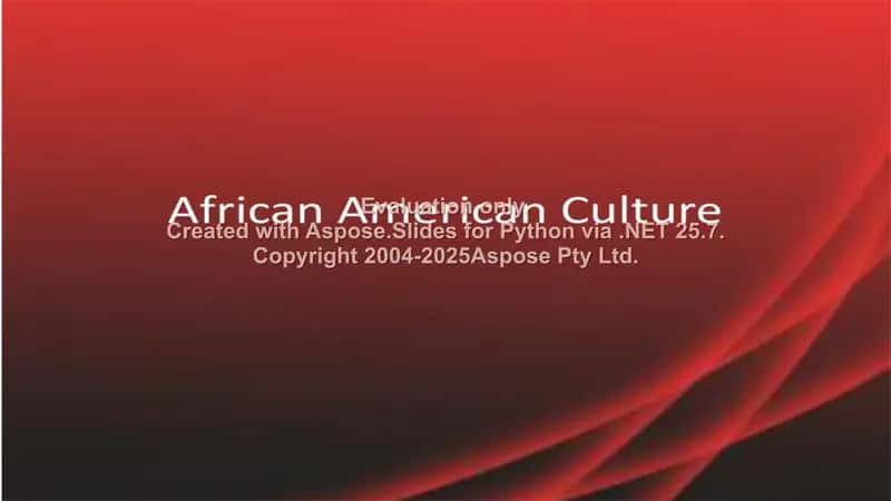Afro-americans literature 1