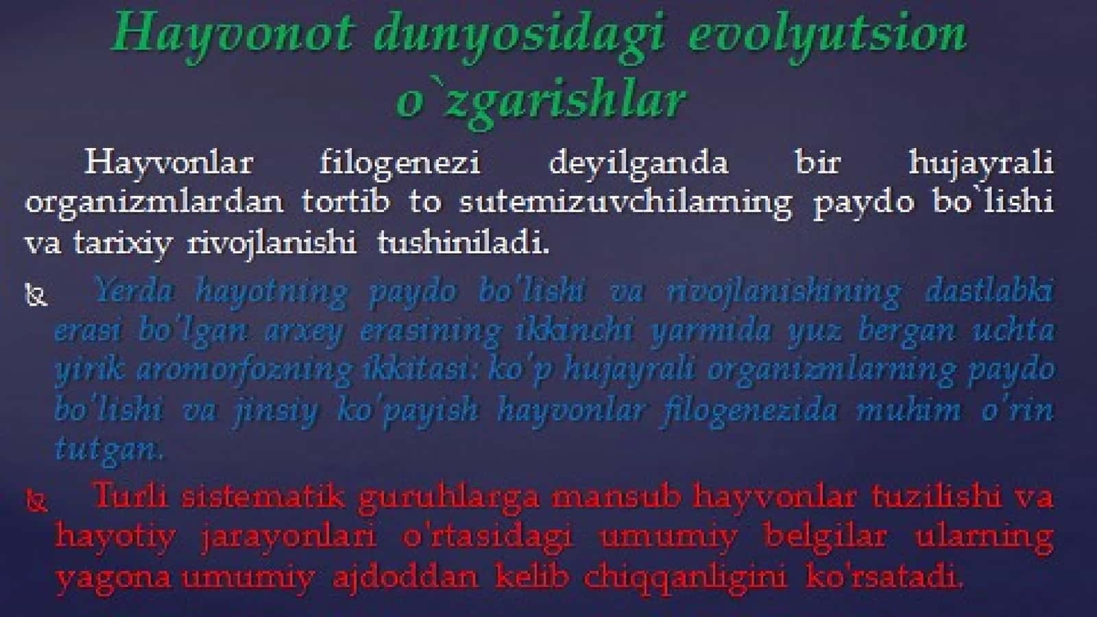 Hayvonlar filogenezi 1