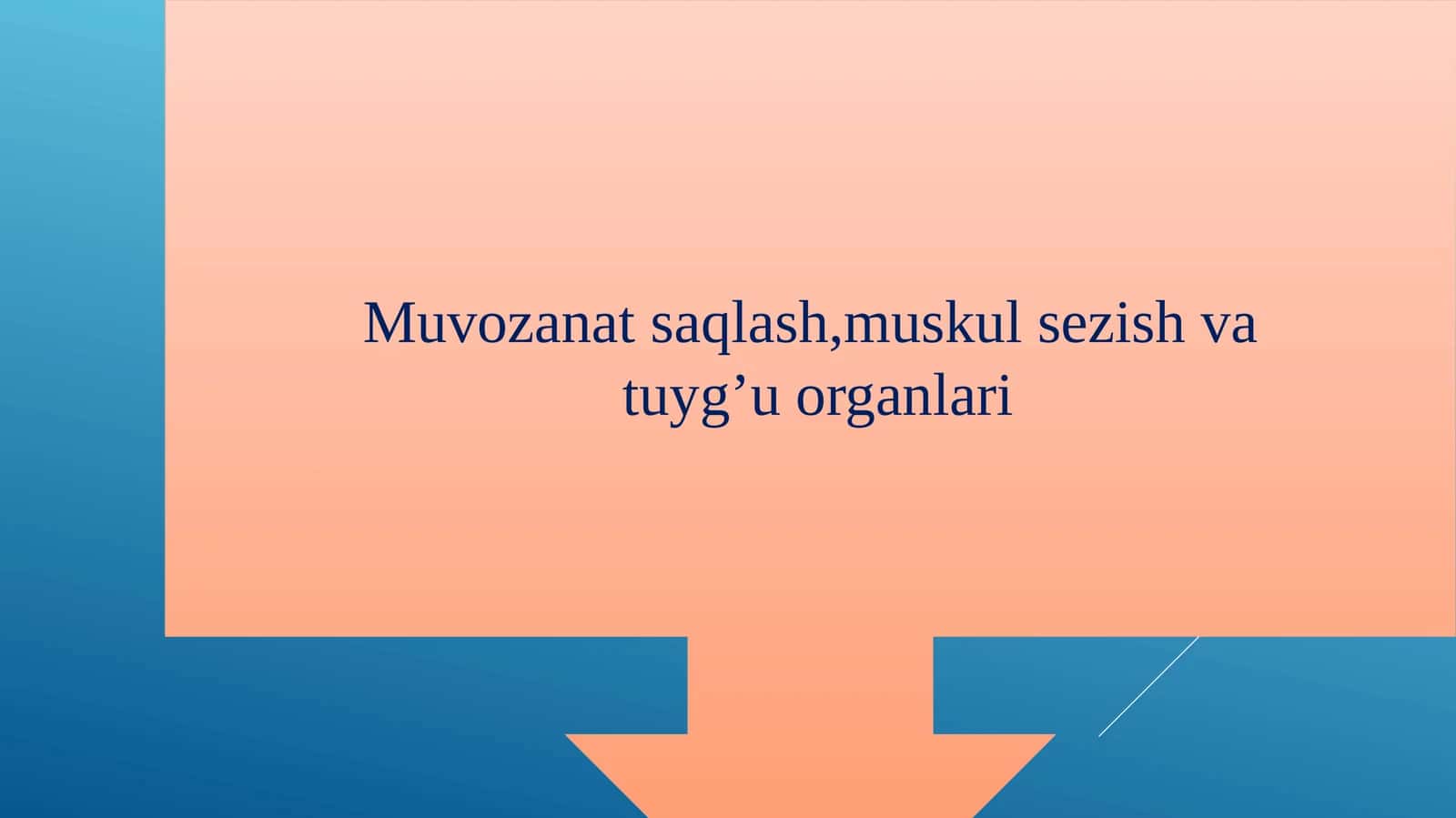 Eshitish organlarining tuzilishi 1