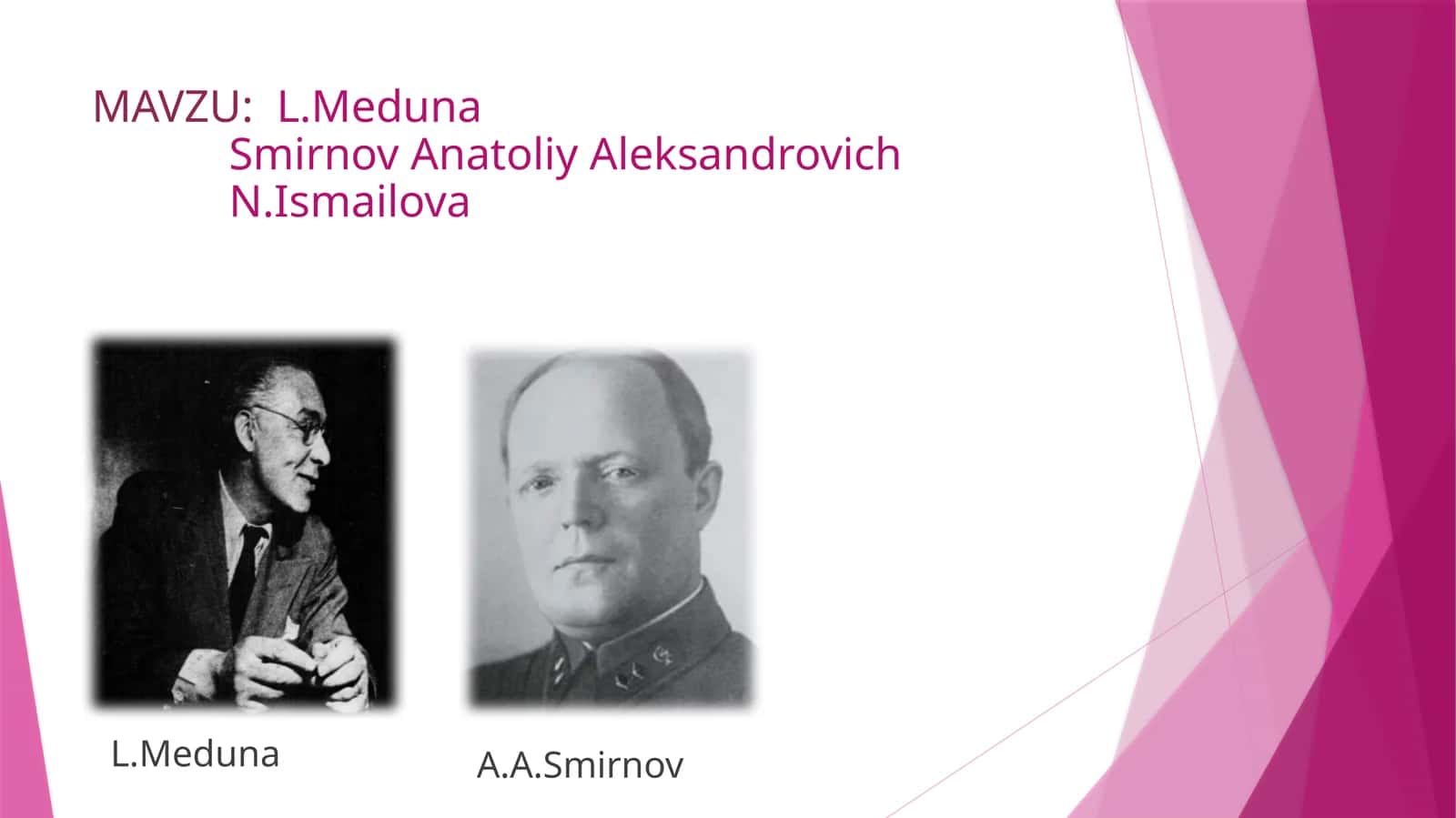 L.Meduna. Smirnov Anatoliy Aleksandrovich. N.Ismailova 1