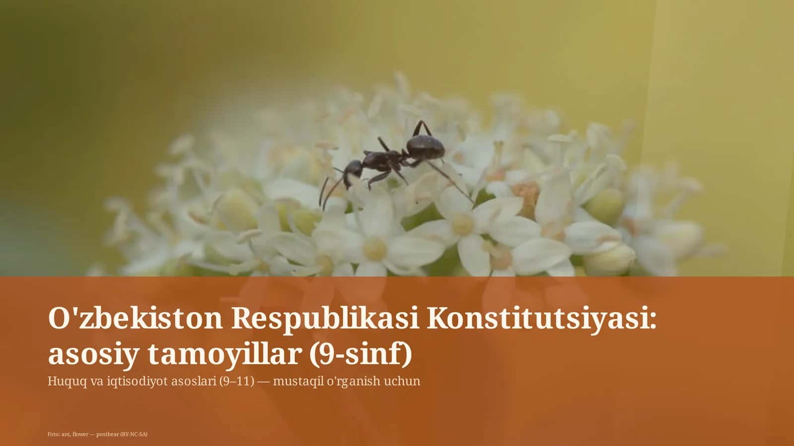 O'zbekiston Respublikasi Konstitutsiyasi: asosiy tamoyillar (9-sinf) 1