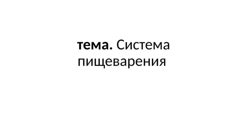 Система пищеварения 1