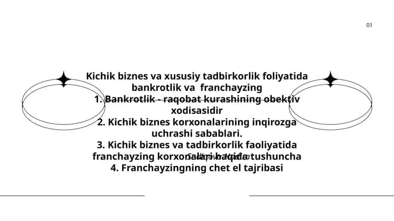 Kichik biznes va xususiy tadbirkorlik foliyatida bankrotlik va franchayzing 1