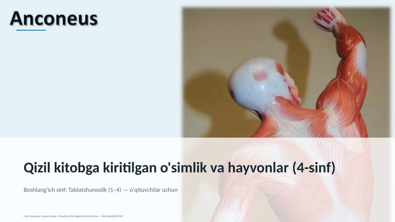 Qizil kitobga kiritilgan o'simlik va hayvonlar (4-sinf) 1