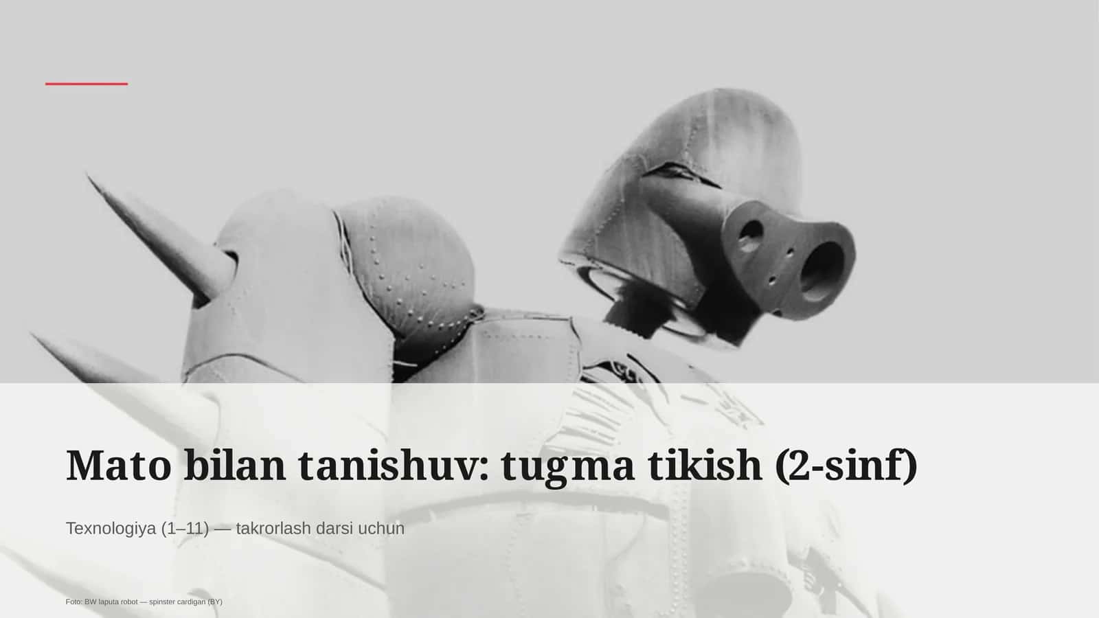 Mato bilan tanishuv: tugma tikish (2-sinf) 1