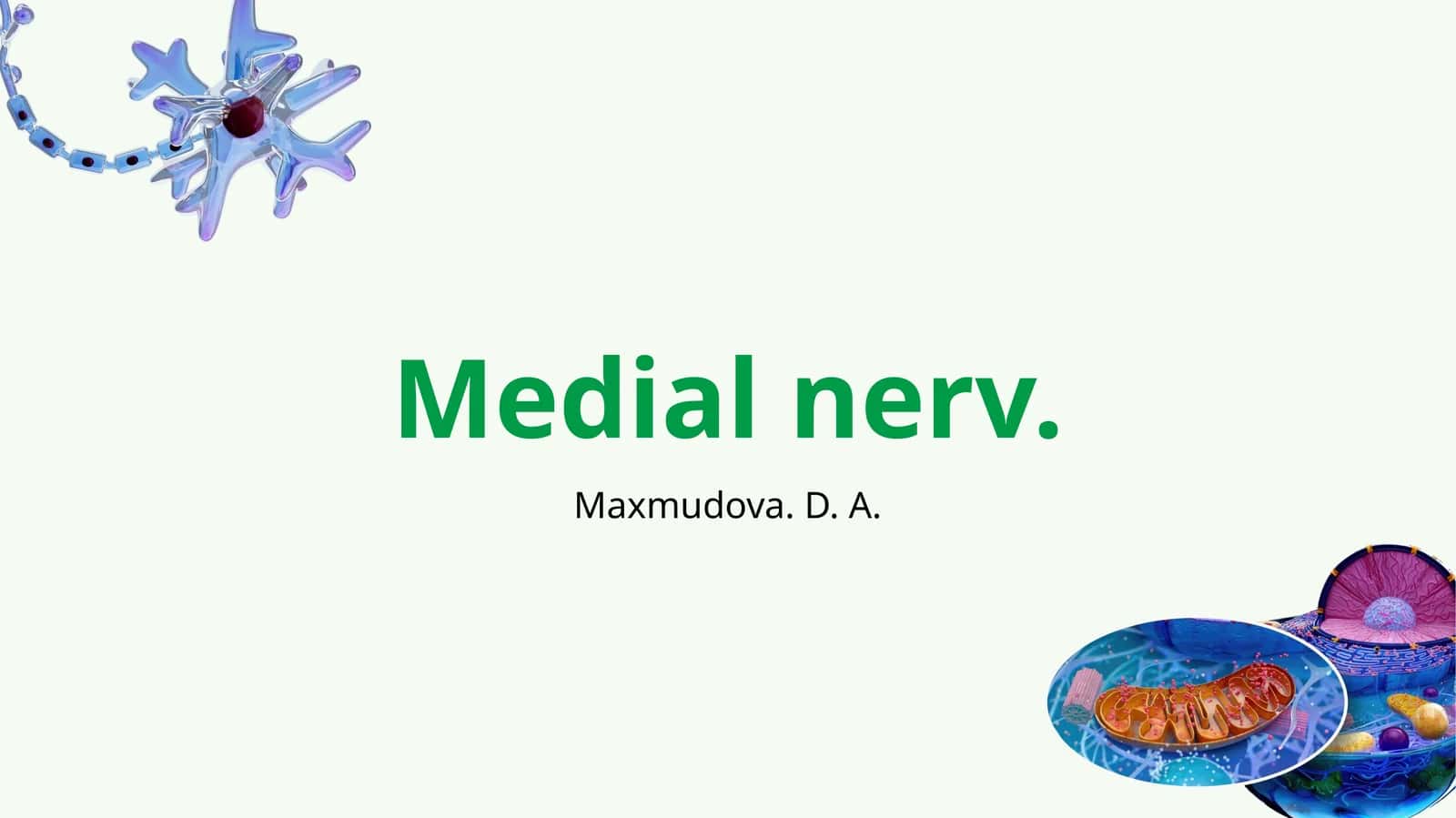 Medial nerv 1