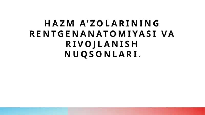 Hazma’zolarining rentgenanatomiyasi 1