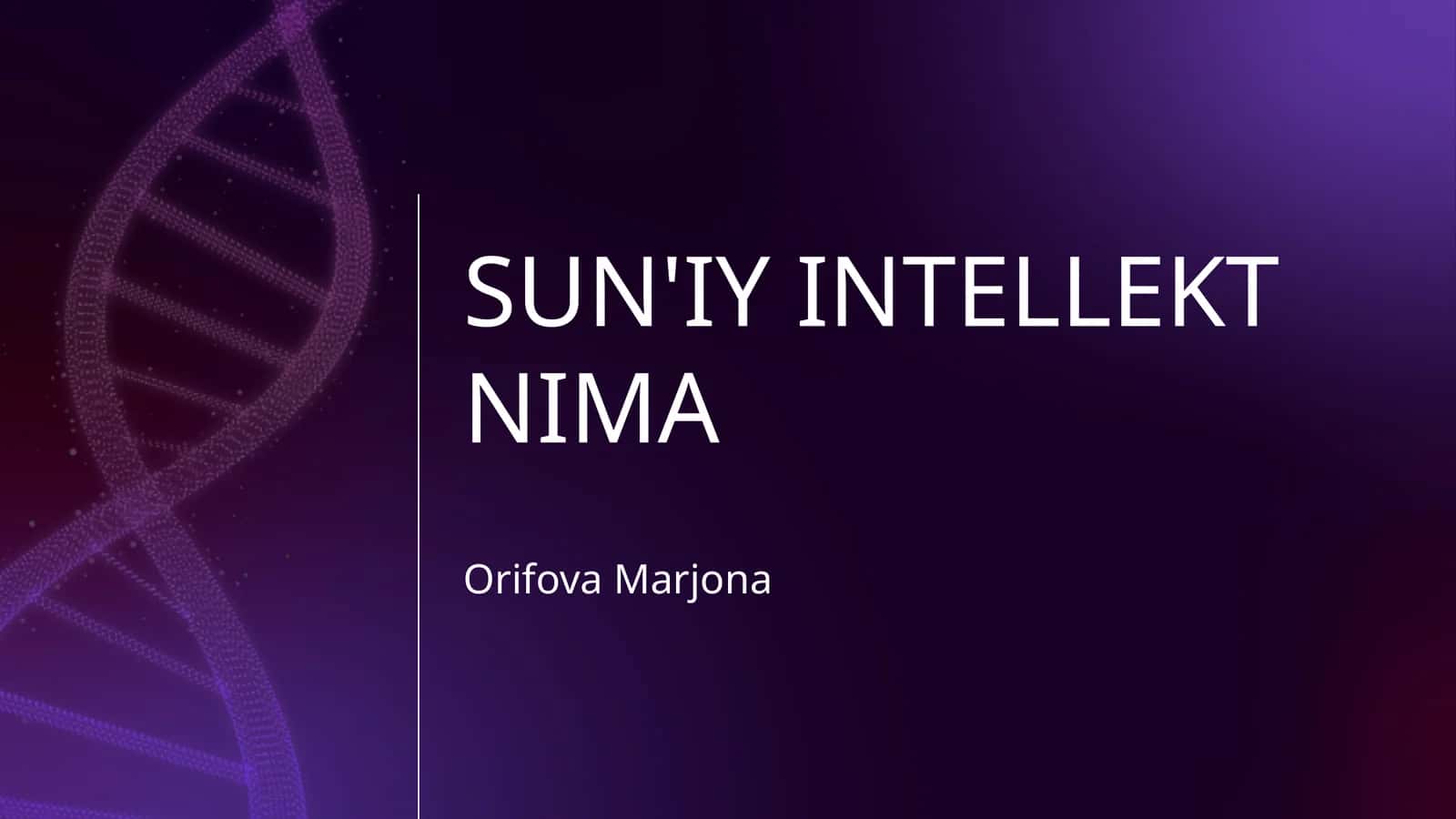 SUN'IY INTELLEKT NIMA 1