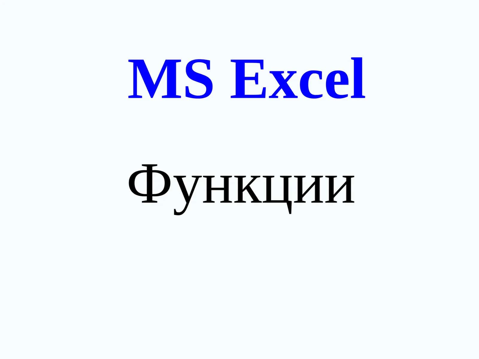 MS Excel 1