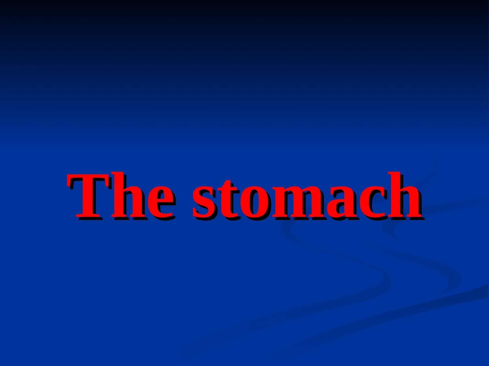 The stomach 1