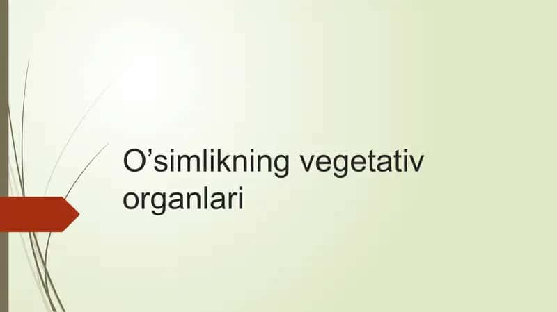 Vegetativ organlar 1