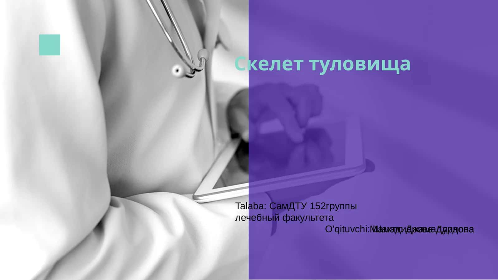 Скелет туловища 1