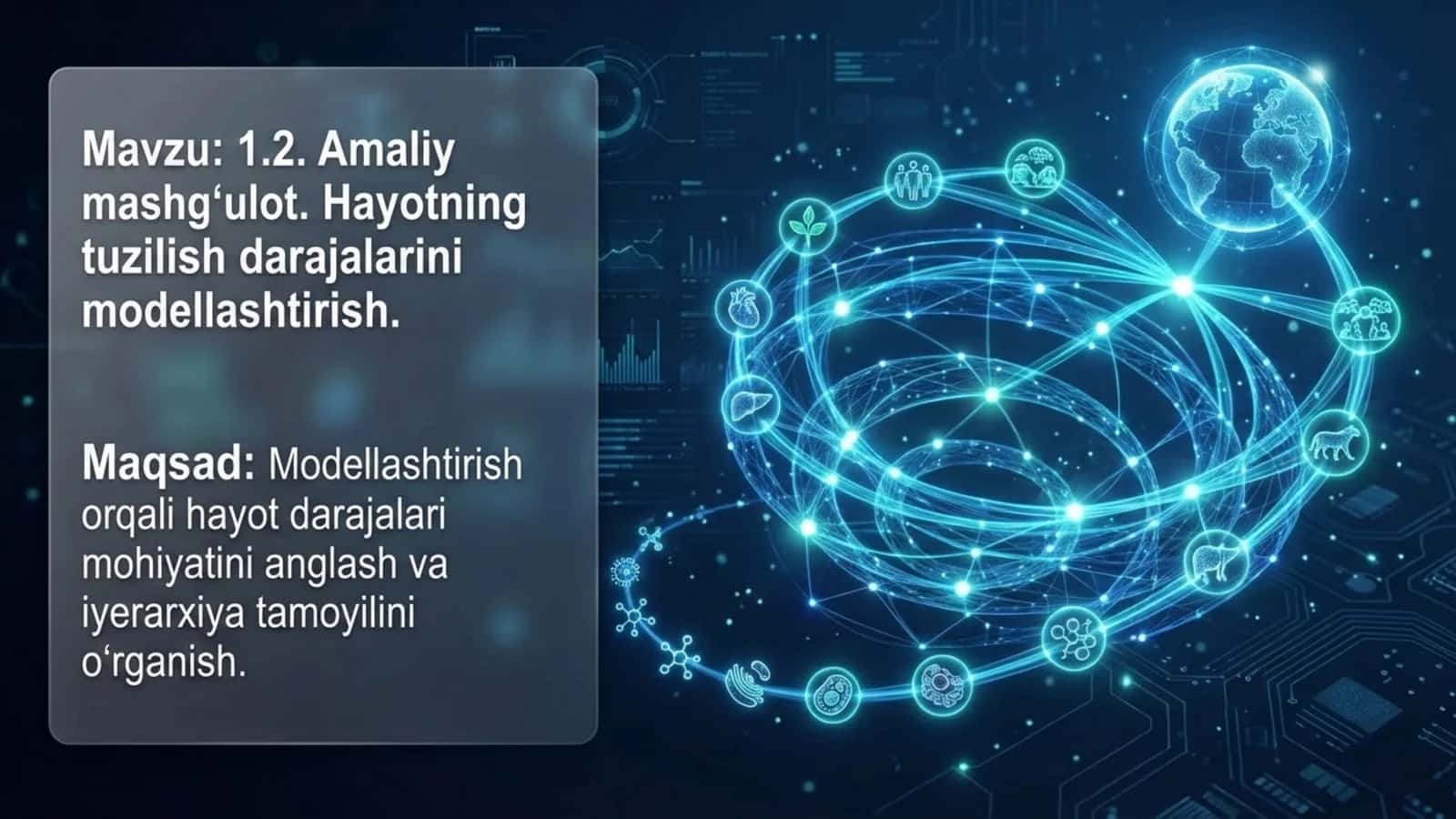 Hayotning tuzulish darajalarini modellashtirish 1
