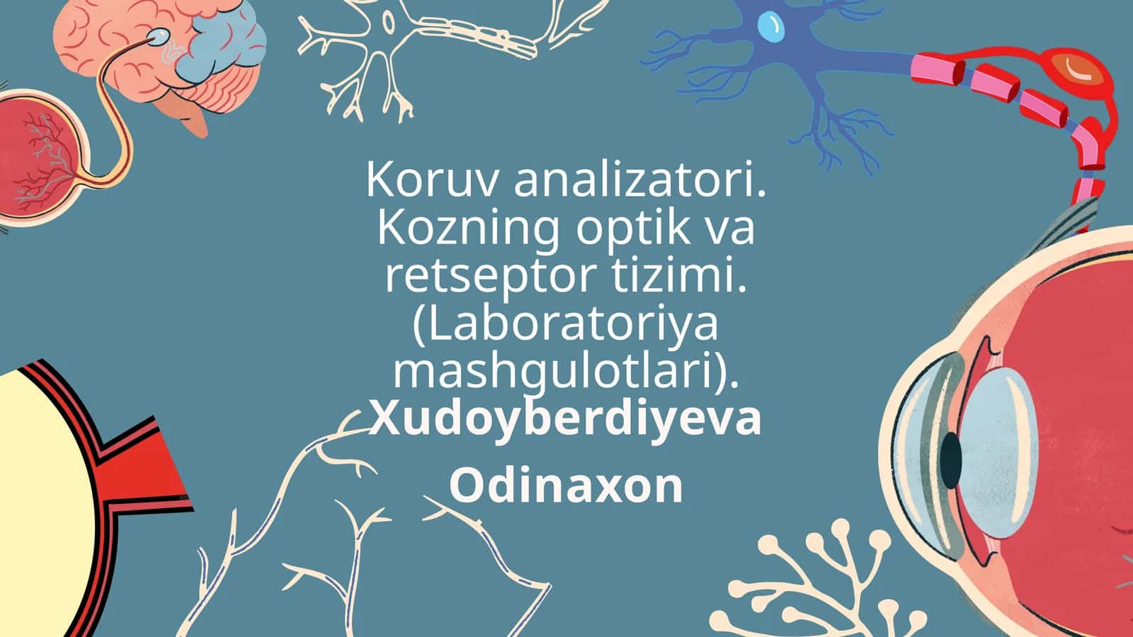 Koruv analizatori. Kozning optik va retseptor tizimi. 1