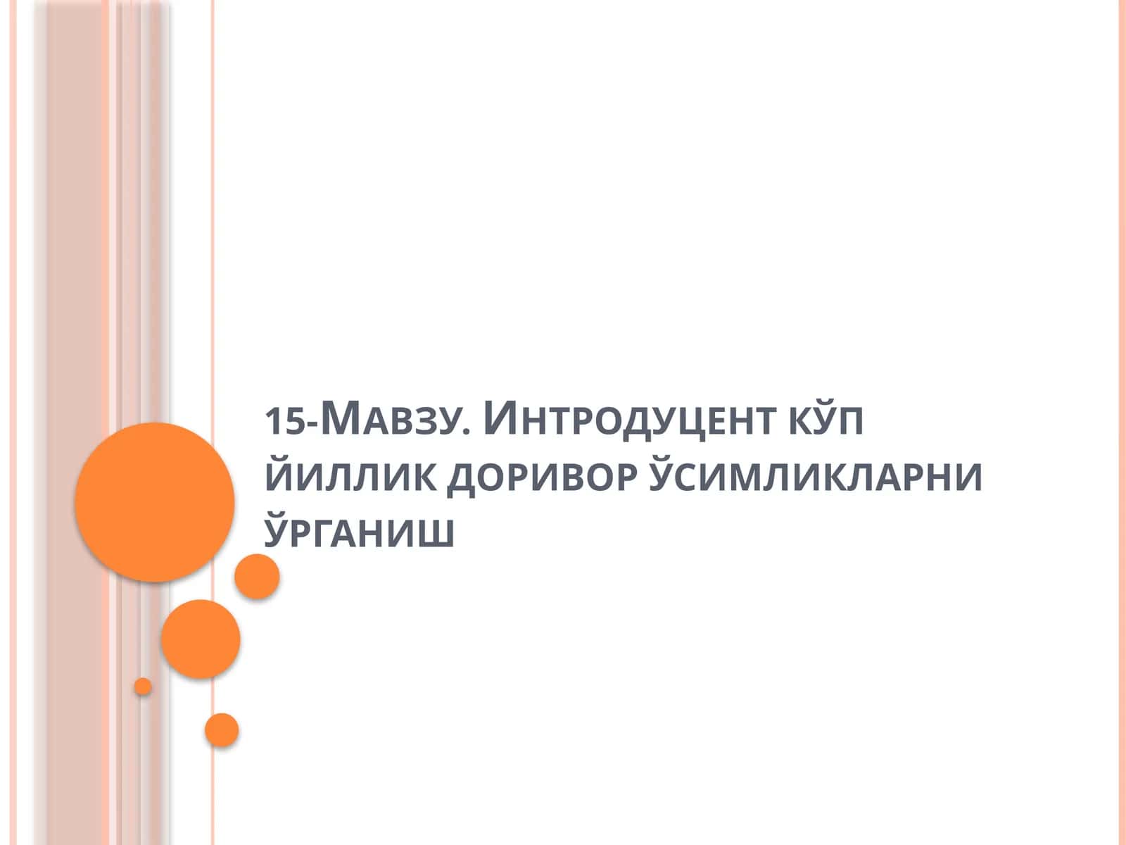 Интродуцент кўп йиллик доривор ўсимликларни ўрганиш 1