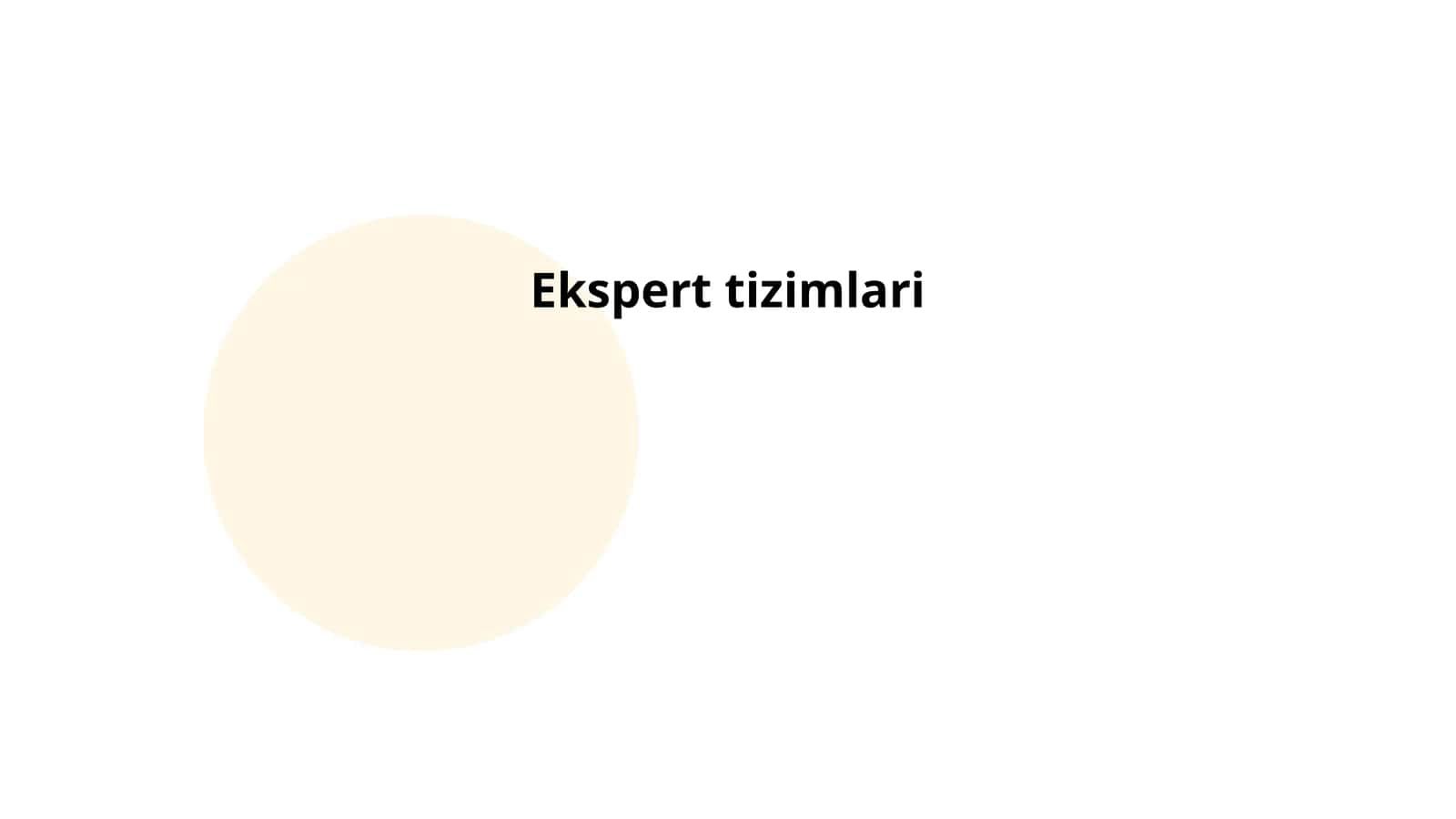 Ekspert tizimlari 1