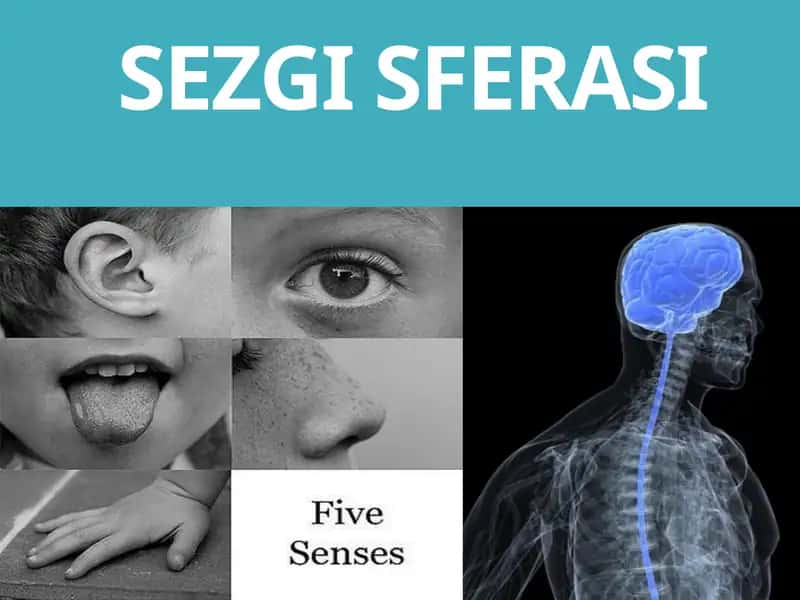 SEZGI SFERASI 1