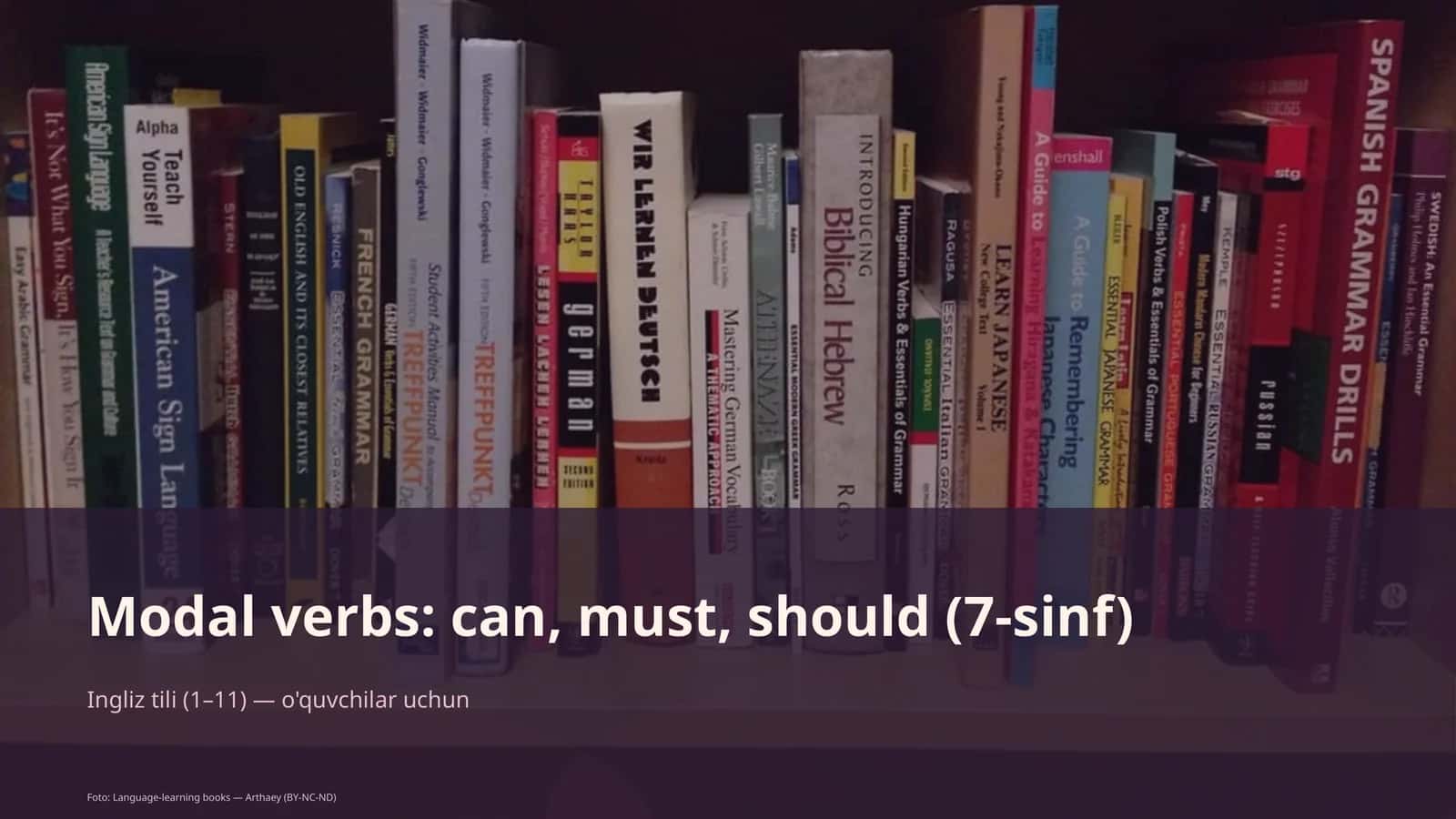 Modal verbs: can, must, should (7-sinf) 1