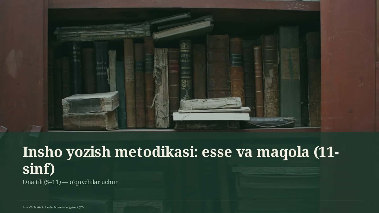 Insho yozish metodikasi: esse va maqola (11-sinf) 1