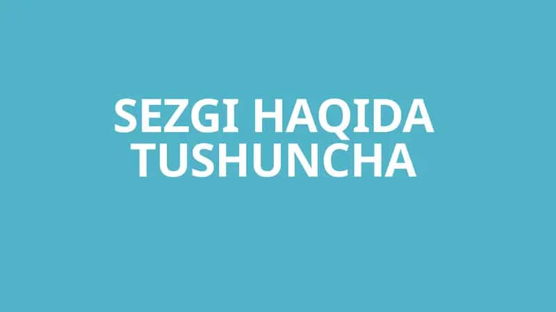 Sezgilar haqida tushuncha 1