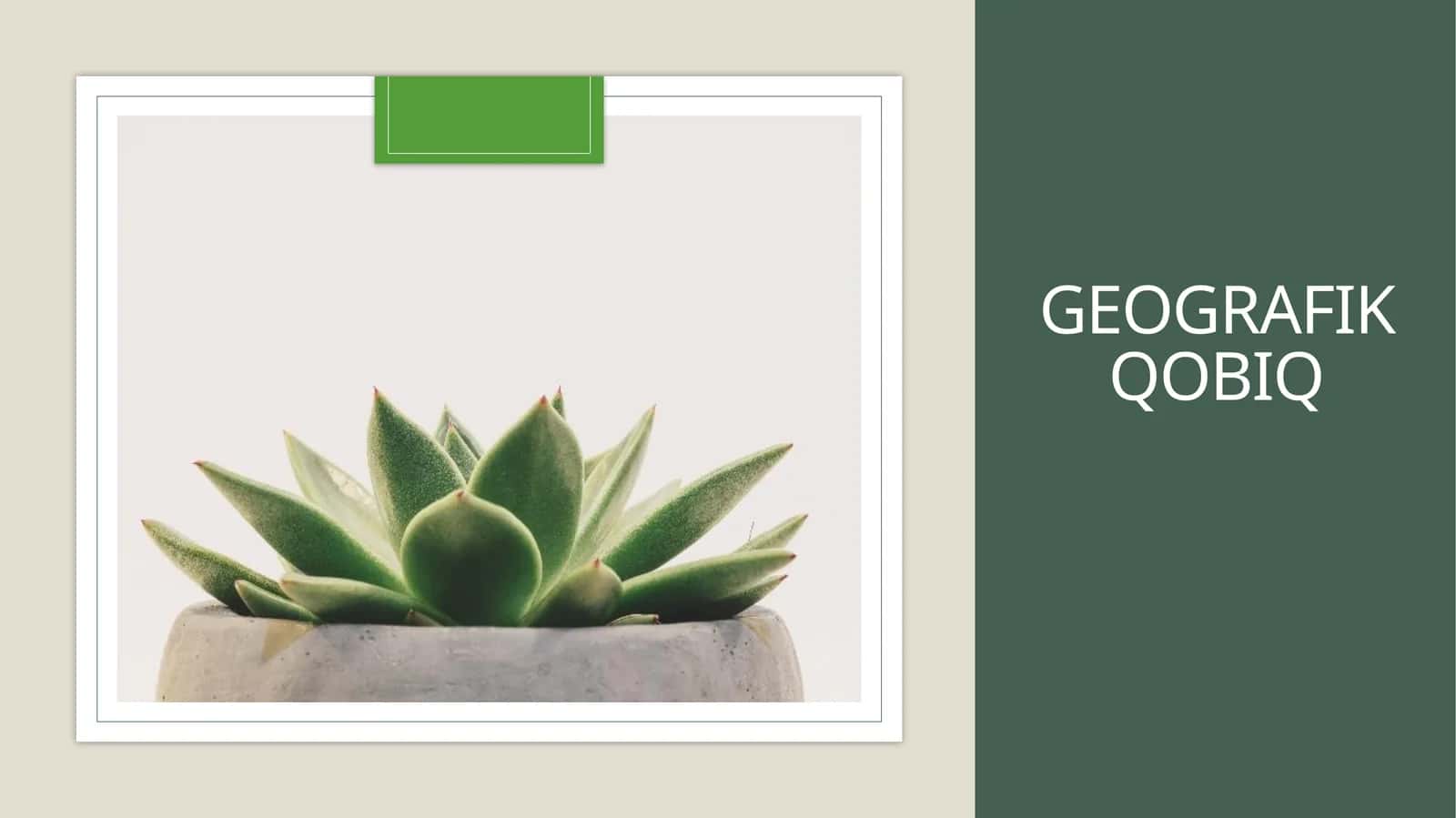 Geografik qobiq 1