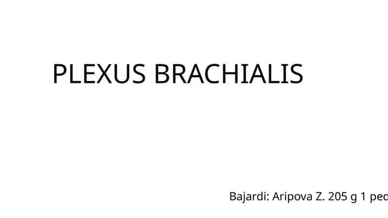 PLEXUS BRACHIALIS 1