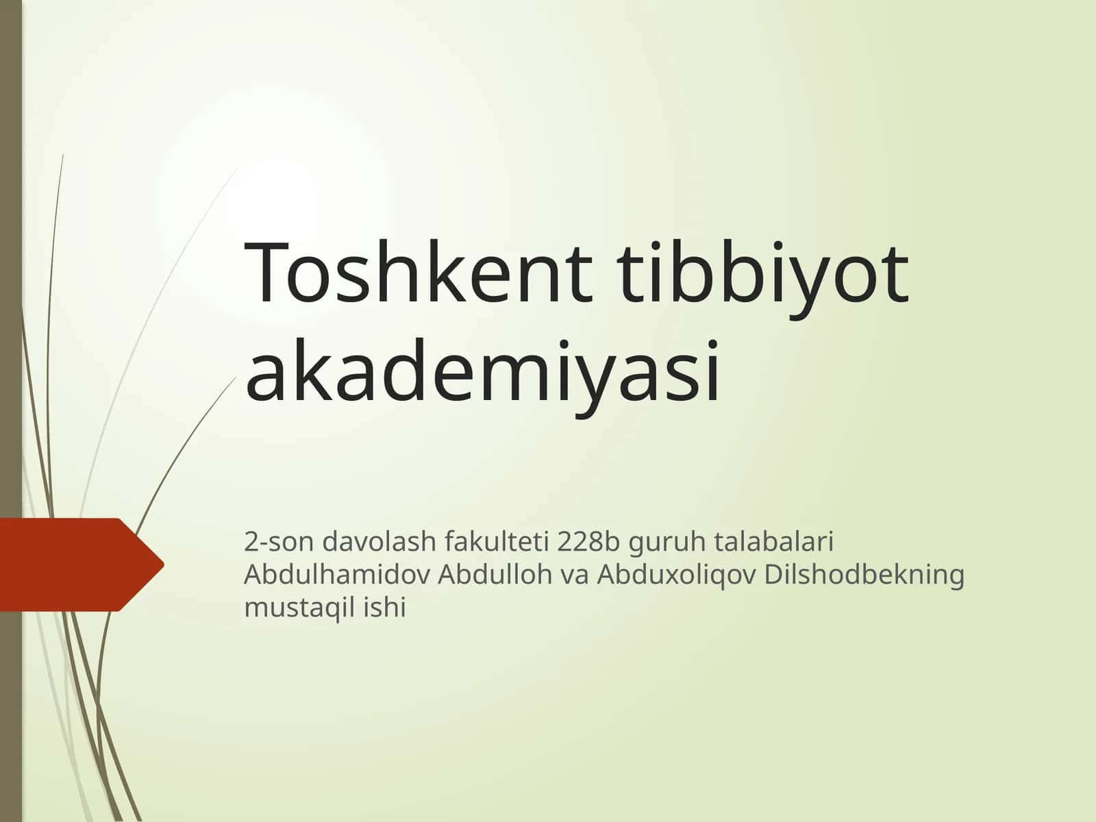 2-son davolash fakulteti 228B guruh talabalari 1
