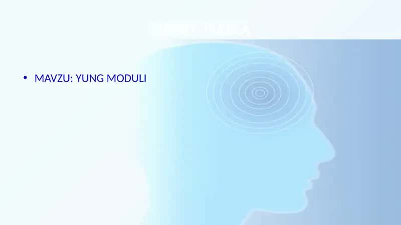 YUNG MODULI 1