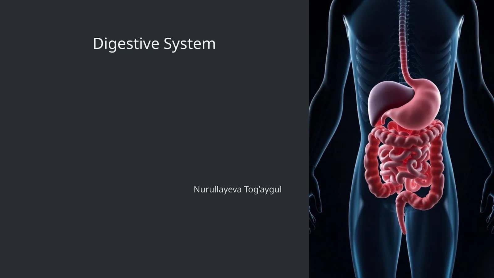 Digestive System 1