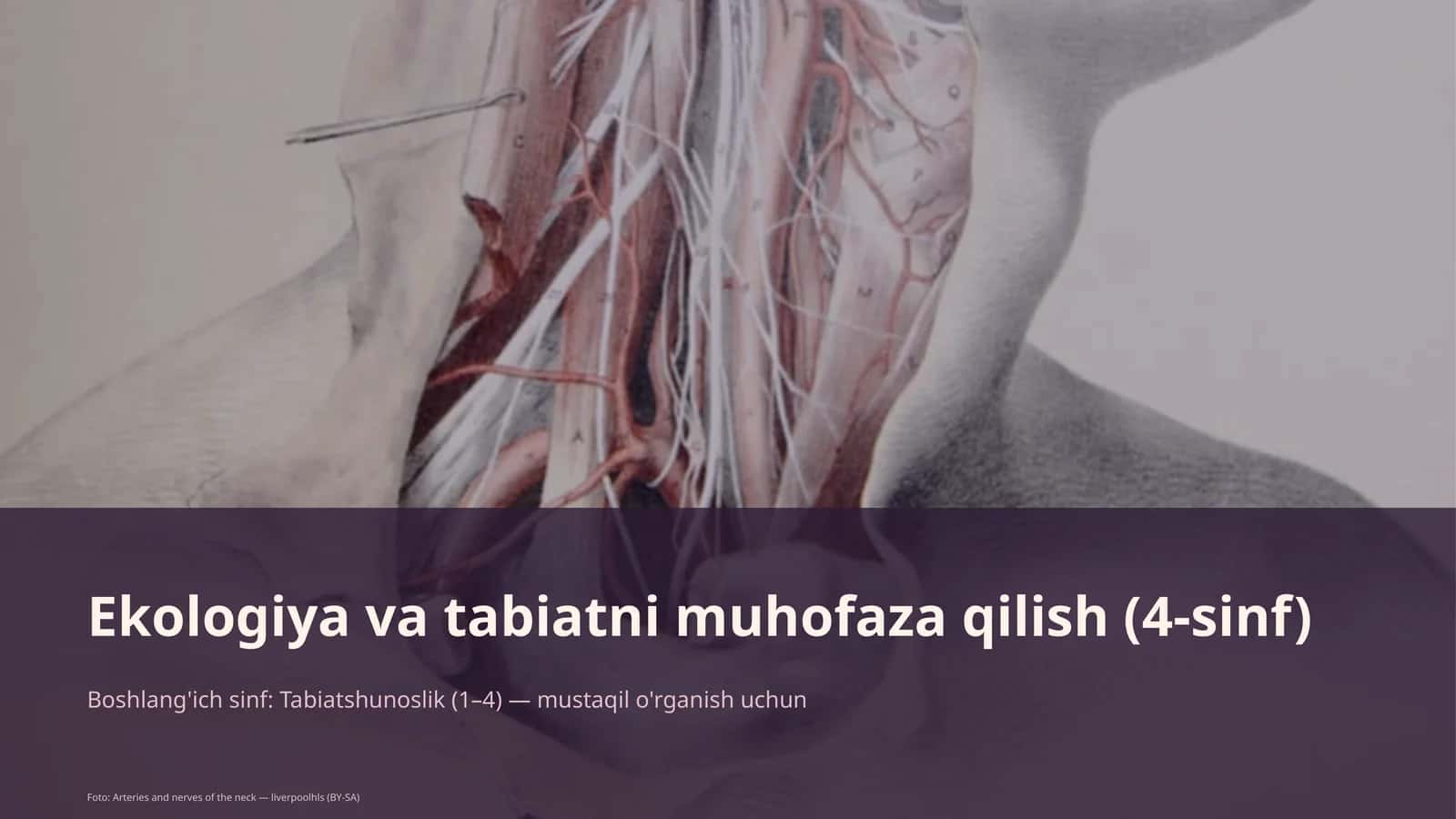 Ekologiya va tabiatni muhofaza qilish (4-sinf) 1