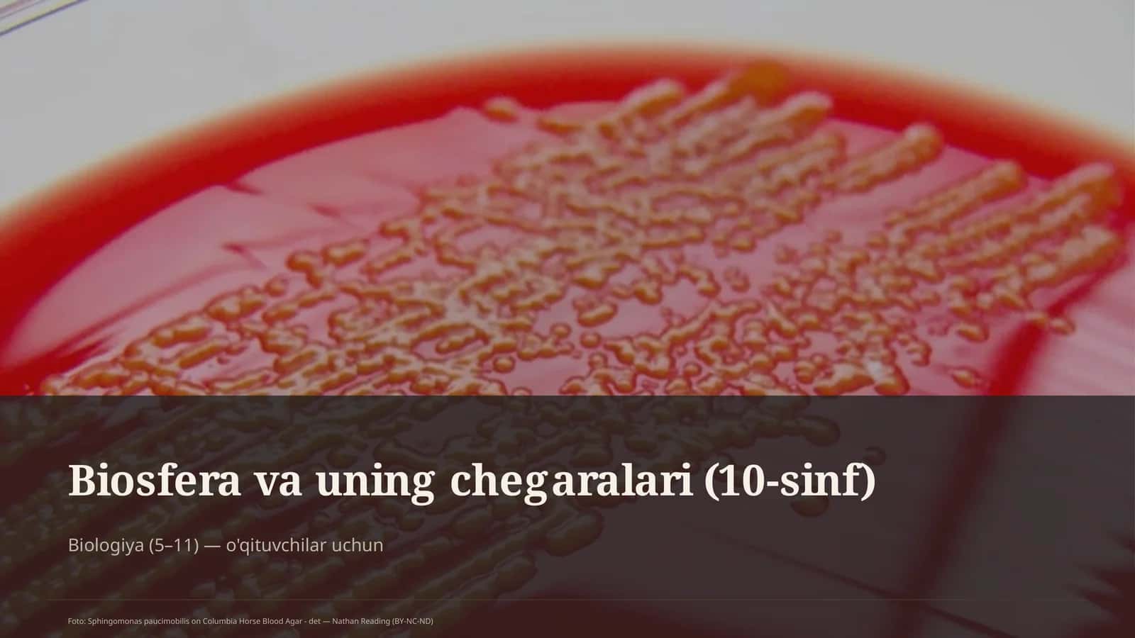 Biosfera va uning chegaralari (10-sinf) 1
