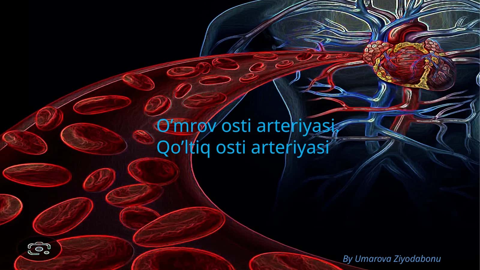 O’mrovostiarteriyasi.Qo’ltiqostiarteriyasi 1